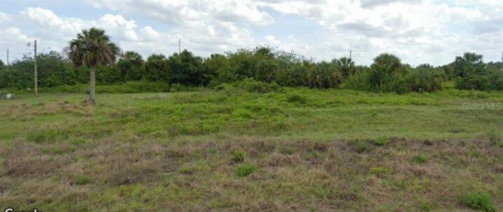 a view of a field with trees in the background