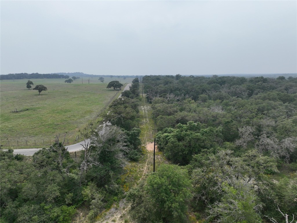 an aerial view of ocean with trees