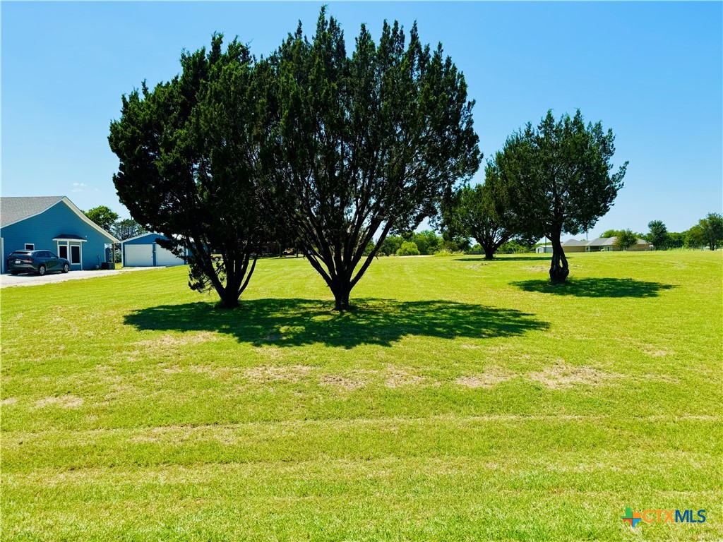 a view of yard with swimming pool and green space