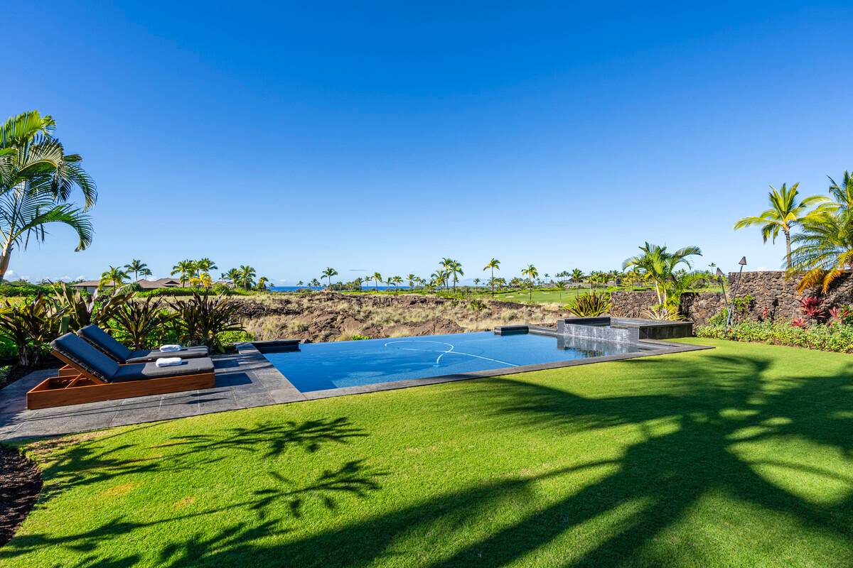 a view of a swimming pool with lawn chairs plants and large trees