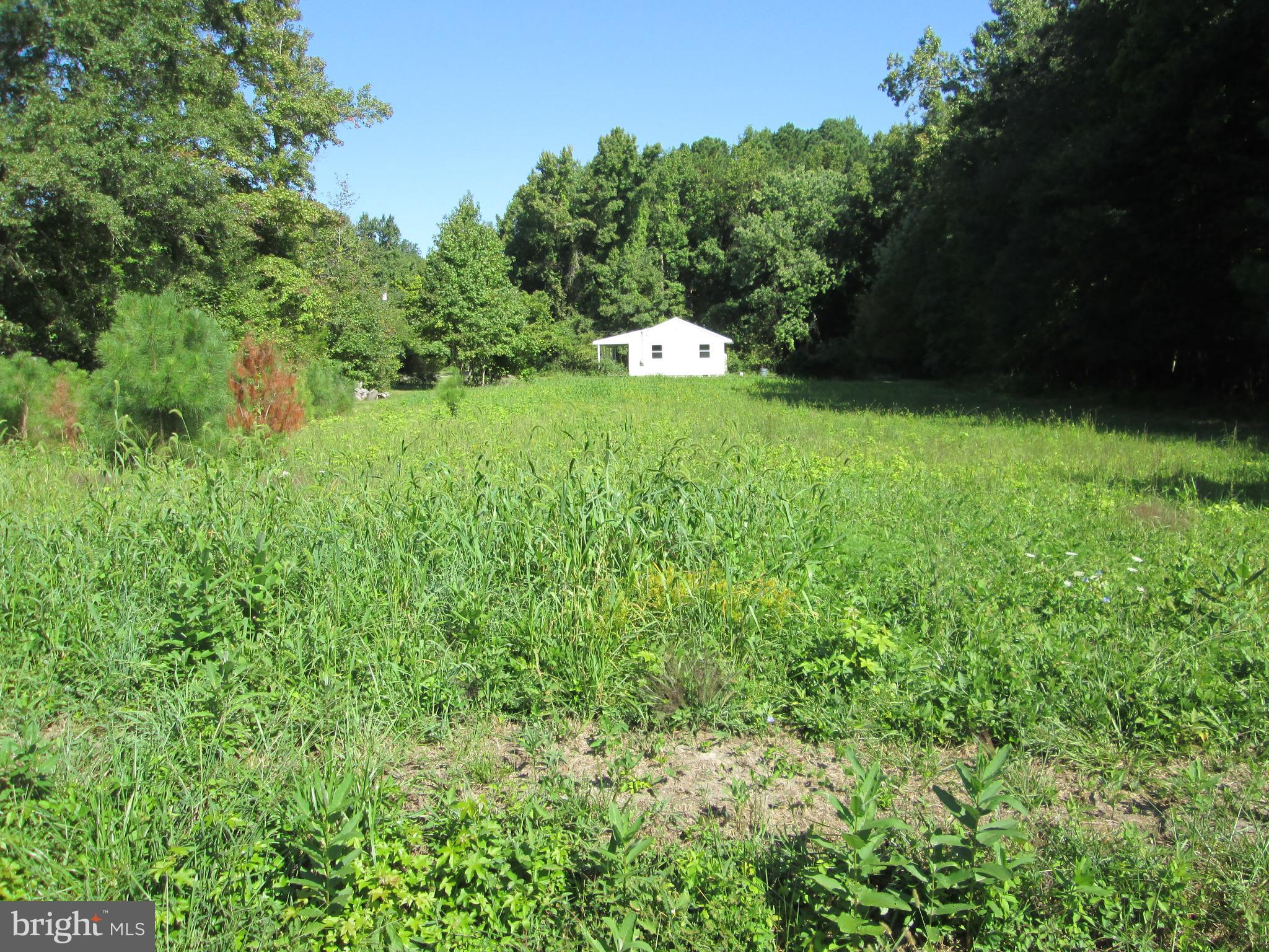 a view of green field with trees in the background