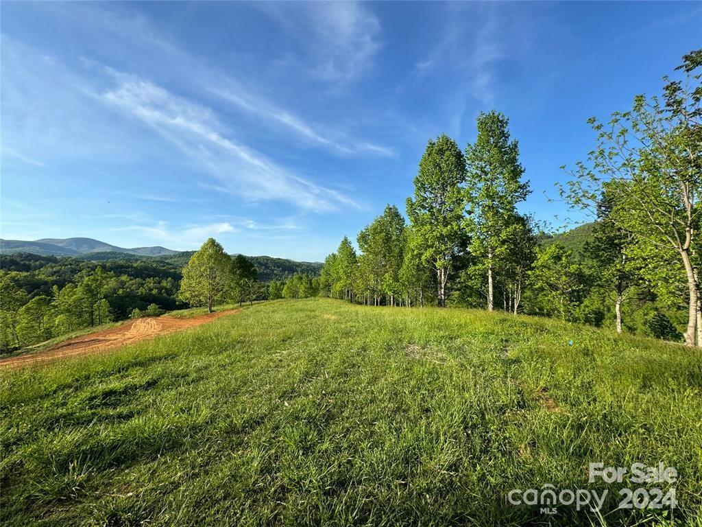 a view of an outdoor space and a yard