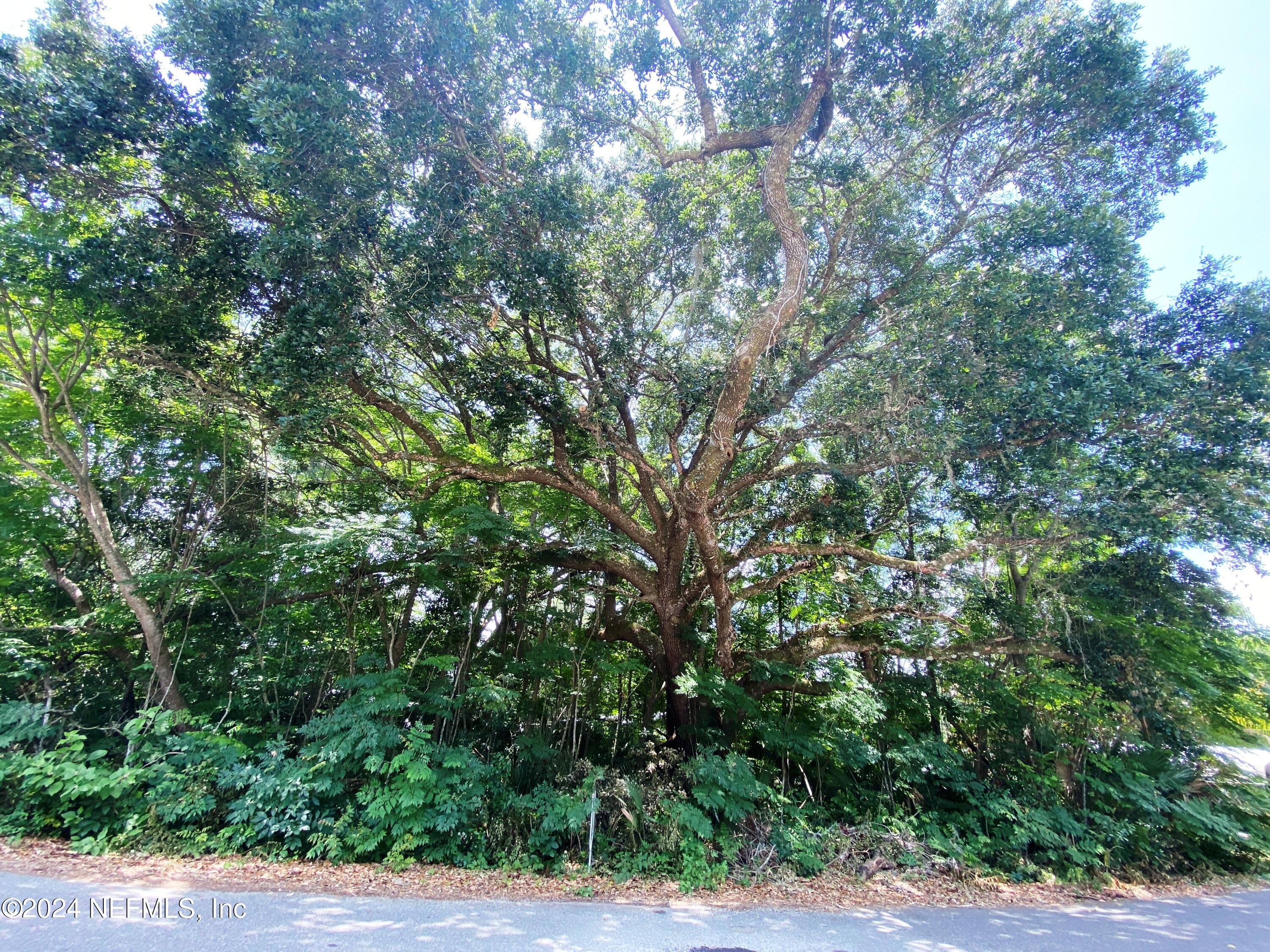 a backyard of a house with lots of trees