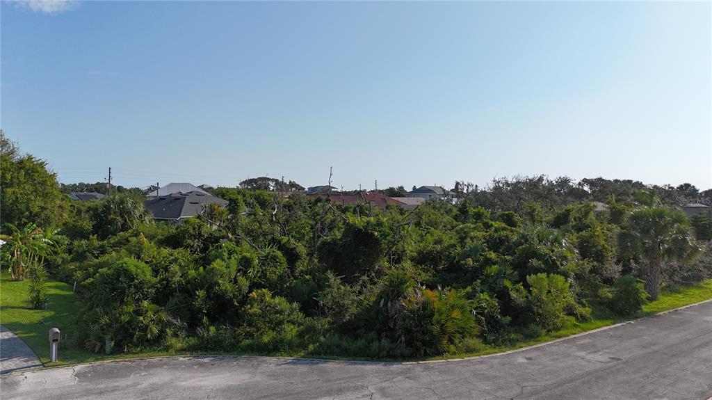 an aerial view of mountain with trees around