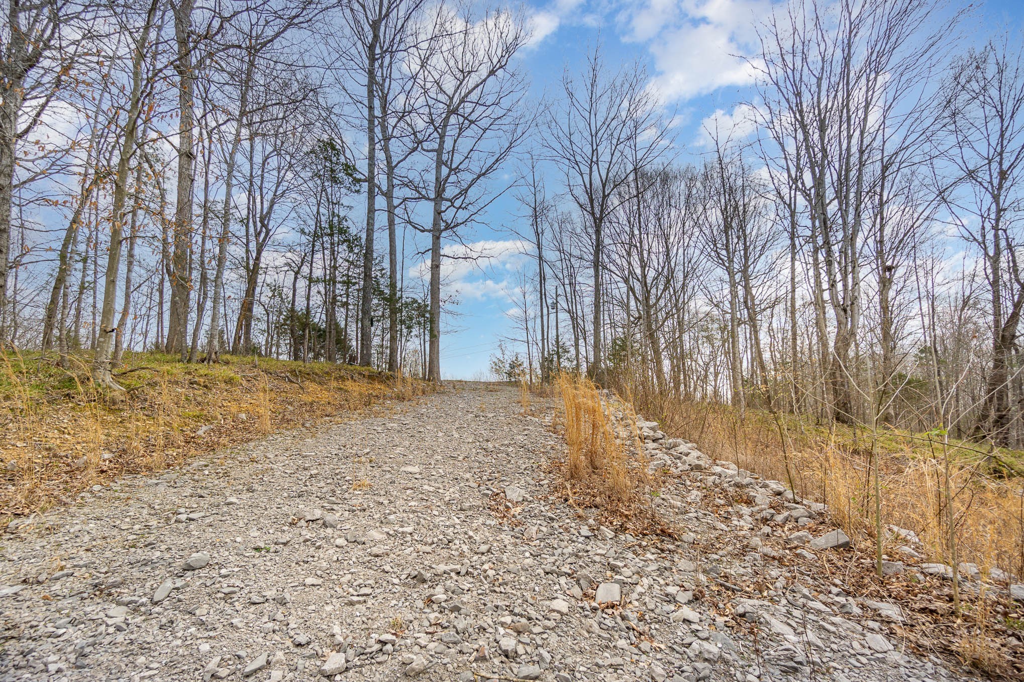 Excavation has been completed for the driveway and the property also has stormwater construction approval to build a bridge over the spring fed creek in Jacob’s Valley (see engineer documents in media).