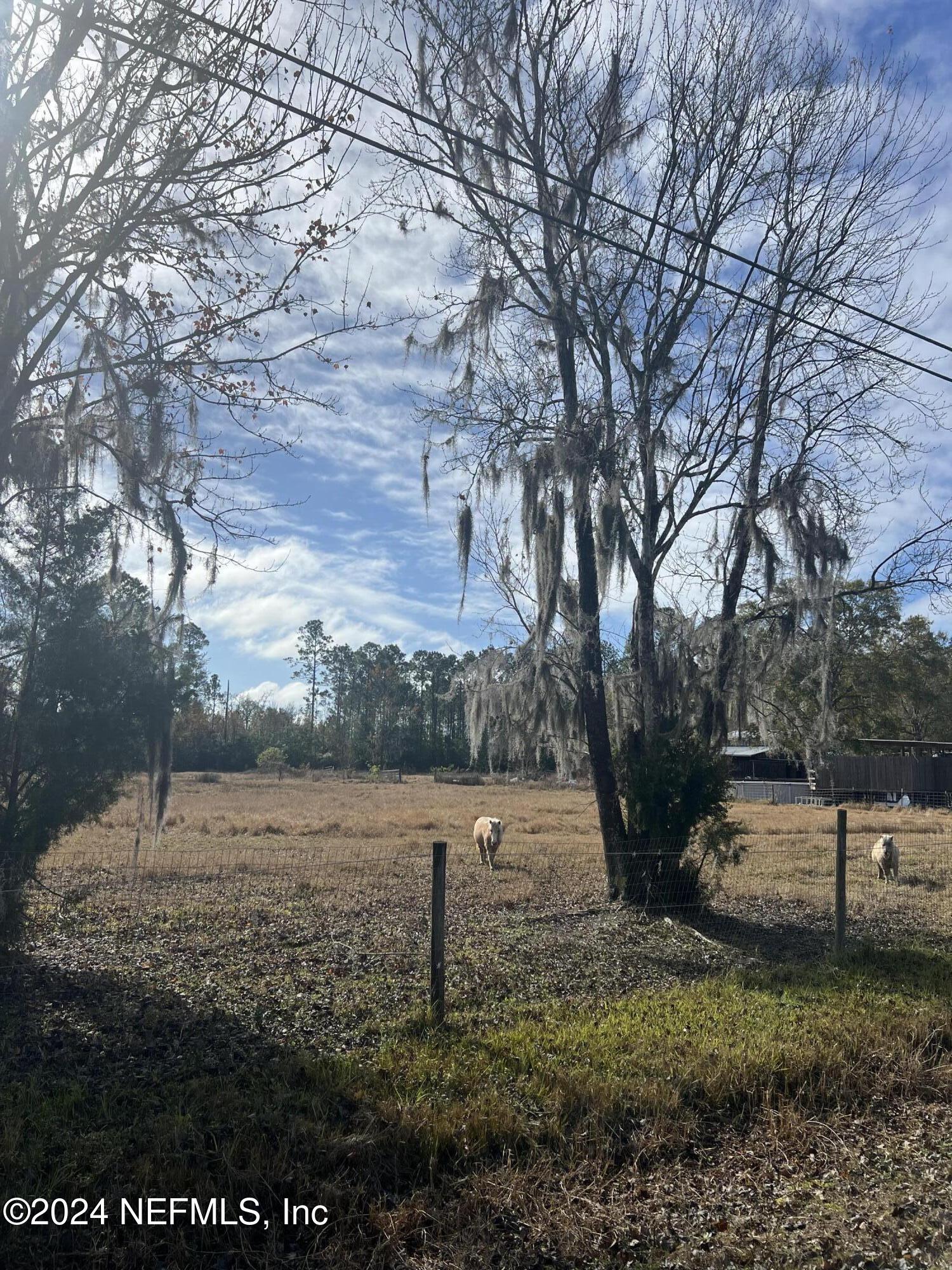 a view of dirt yard with a large tree