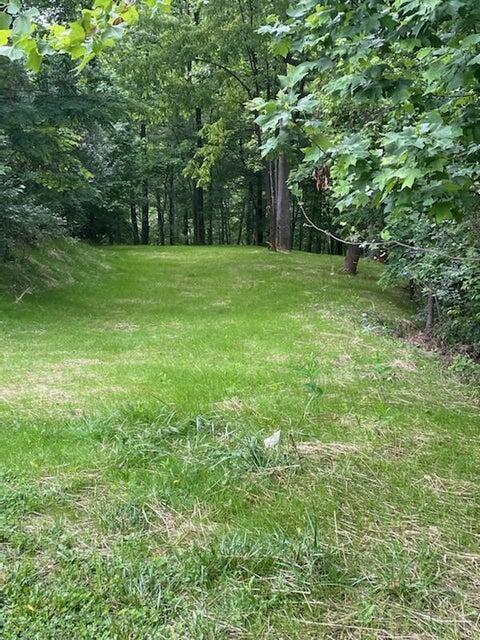 a big yard with lots of green space and deers