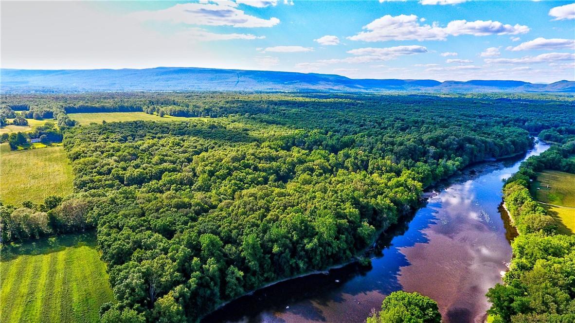 Wooded acreage along the Wallkill River.