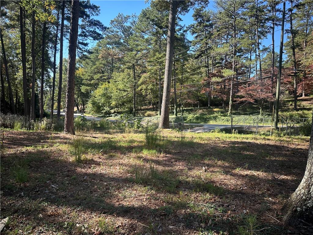 a view of a yard with a tree