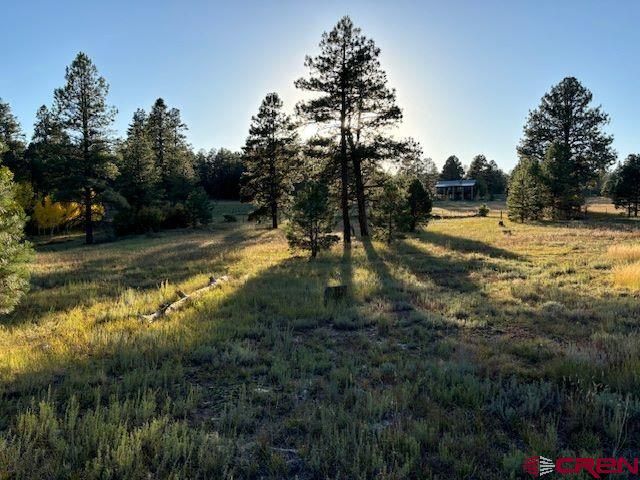 $185,900 | 3898 North Pagosa Boulevard | Martinez Mountain Estates