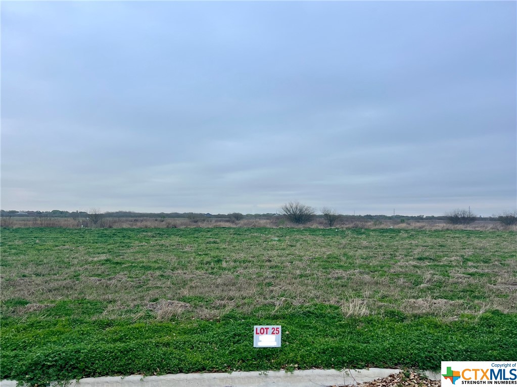 a view of a green field with clear sky