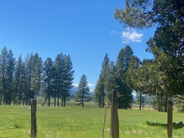 a big yard with trees in the background