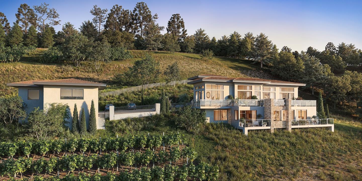 a aerial view of a house with a yard and potted plants