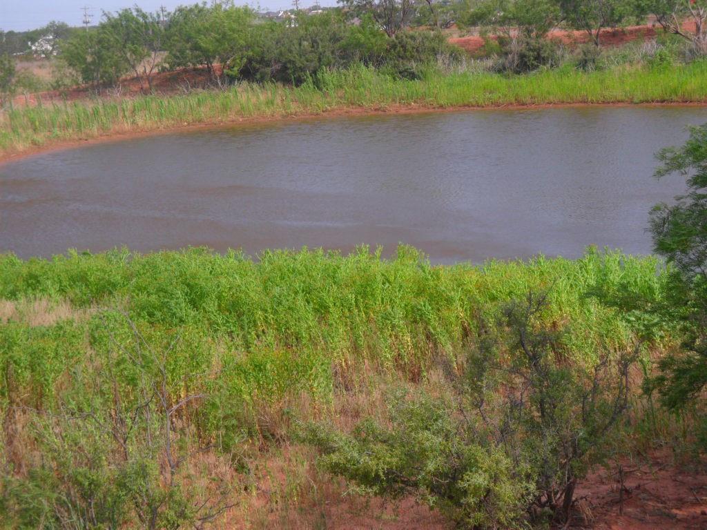 a view of lake from a yard