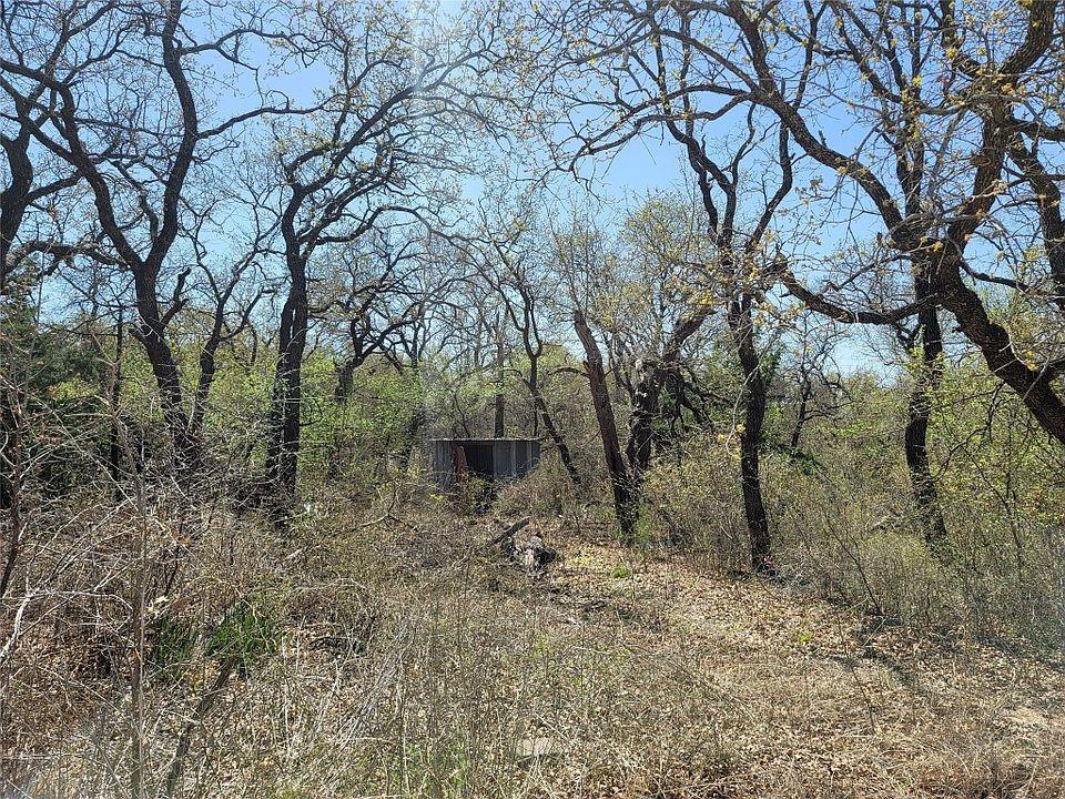 a view of a yard with plants and trees