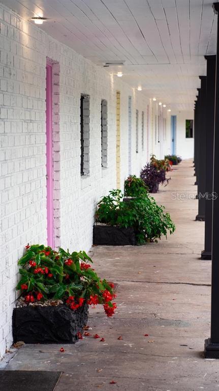 a room with lots of flowers and flowers