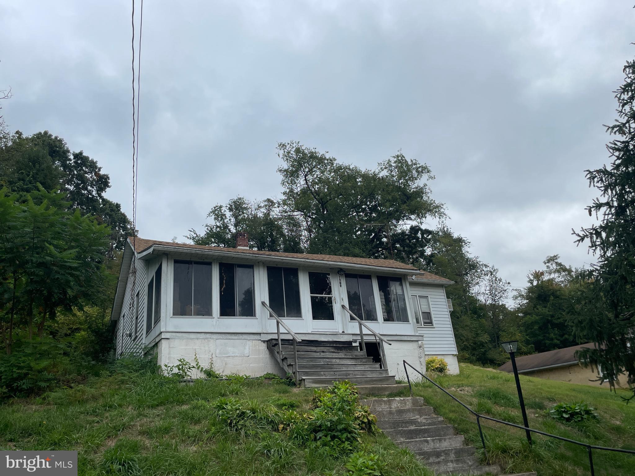 a house that has tree in front of it