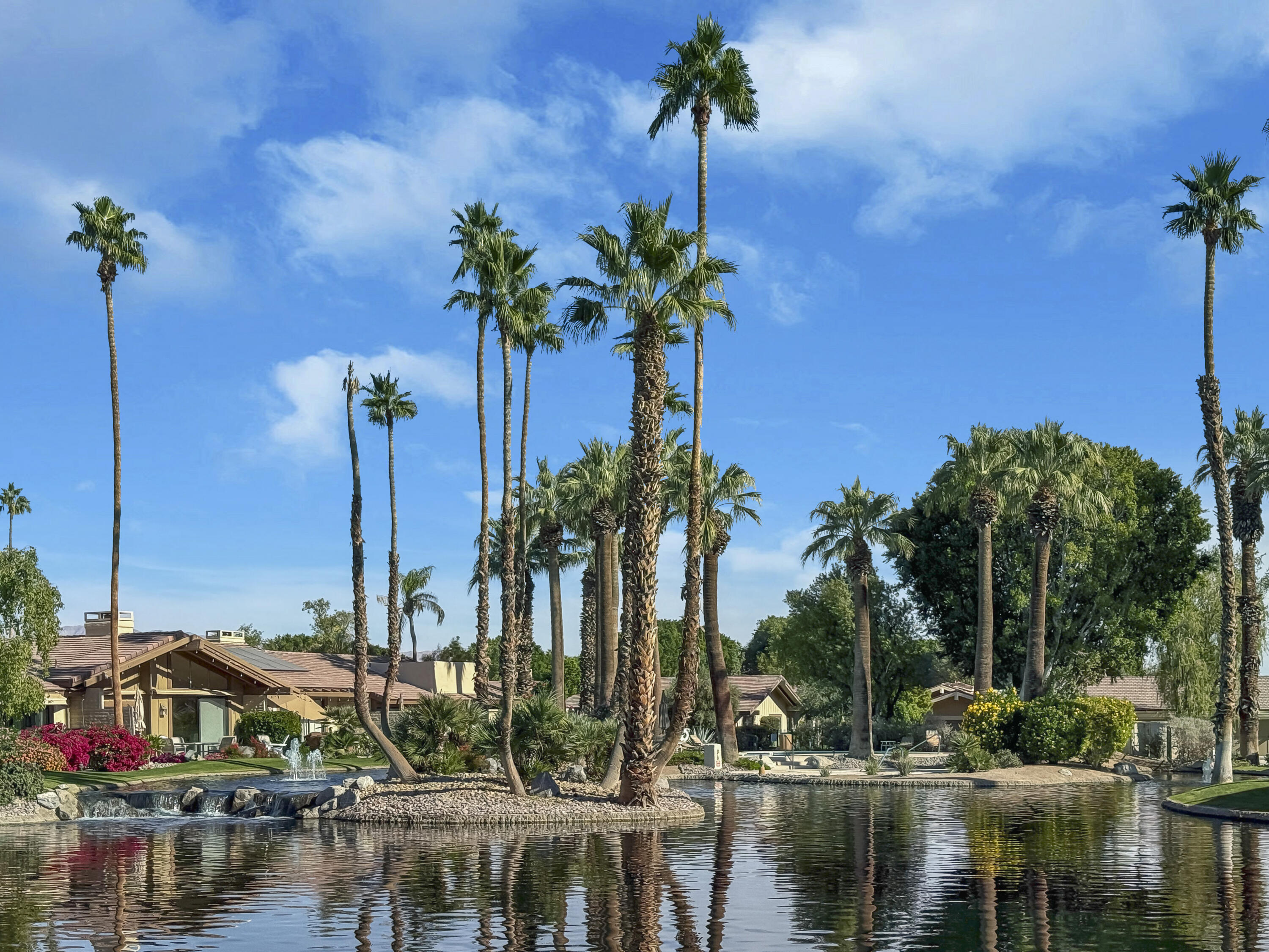 a view of houses and water with palm trees