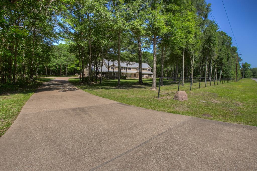 a view of a park and trees