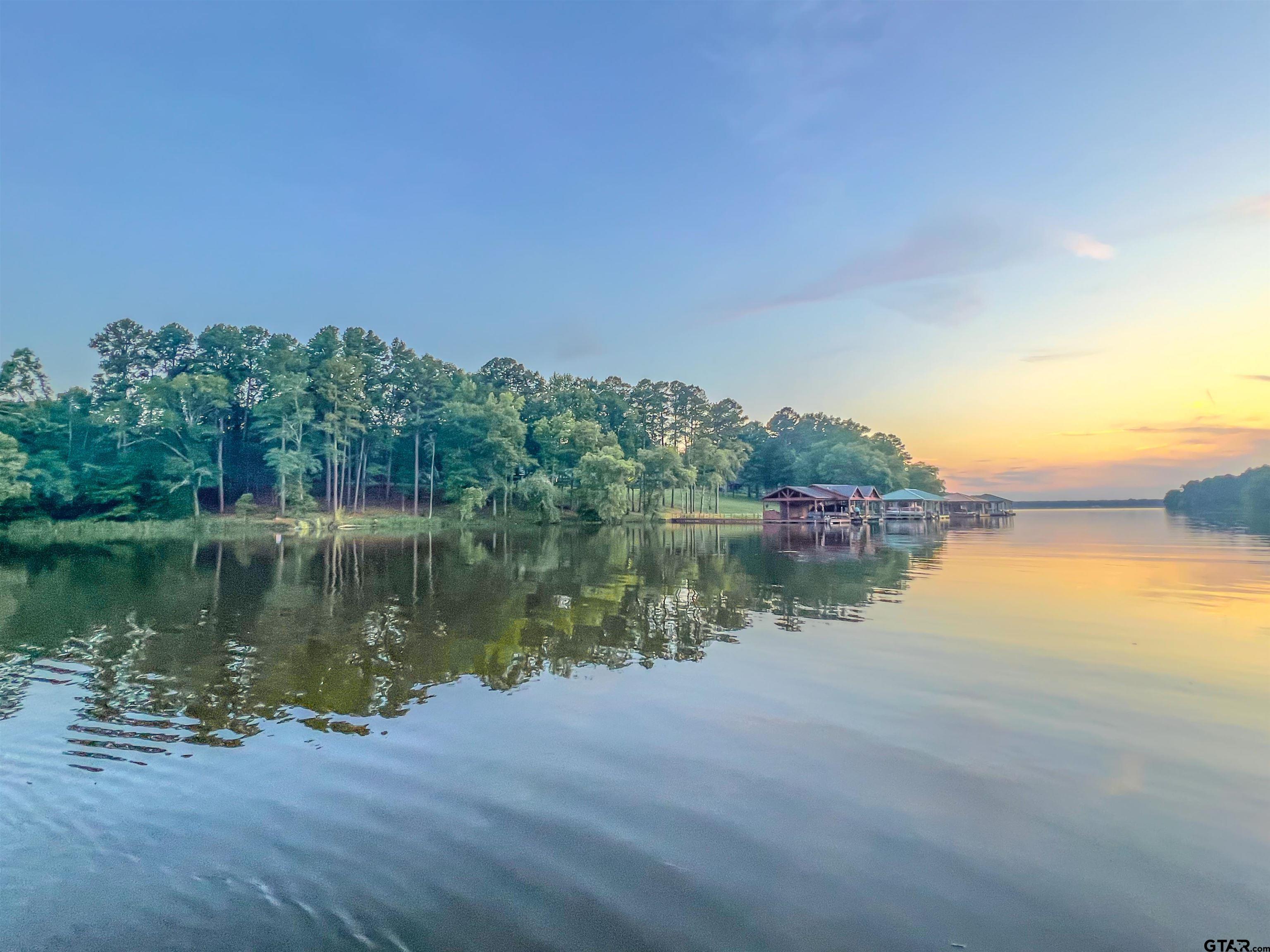 a view of a lake with houses in the background