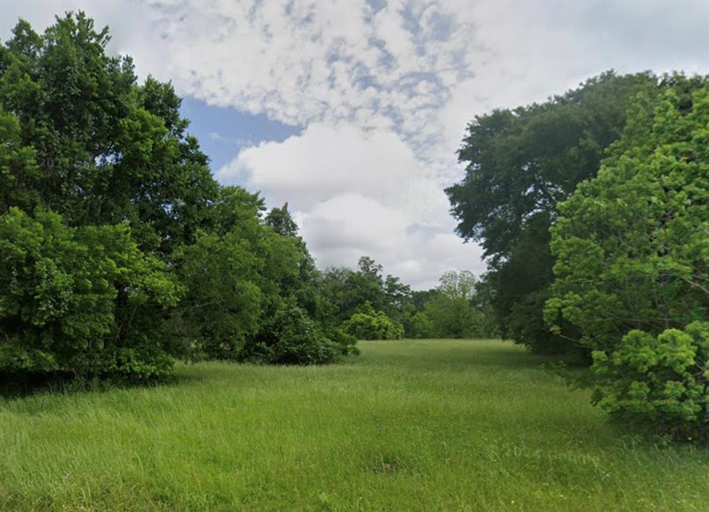 a view of a green yard