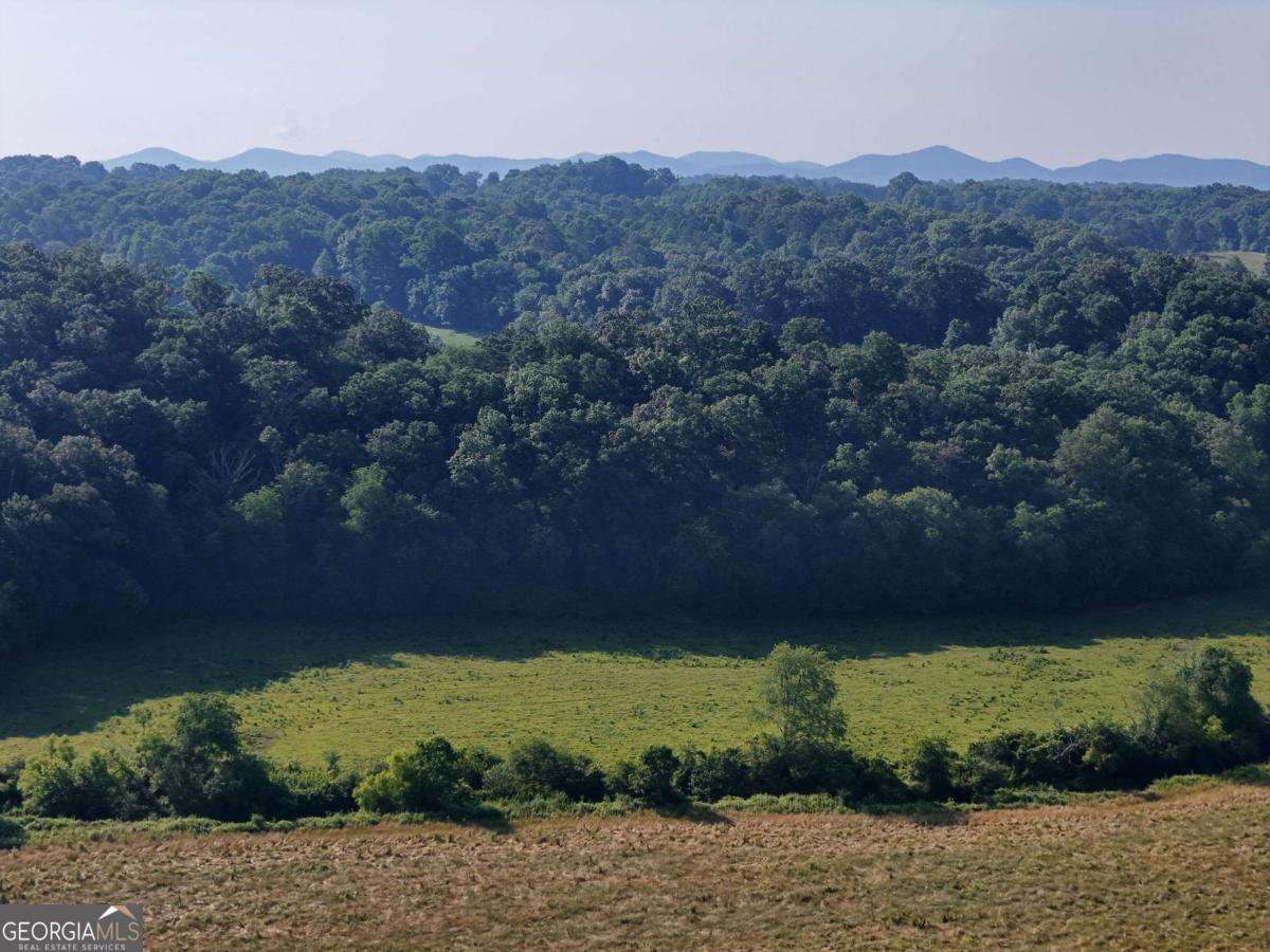 a view of a mountain in the distance