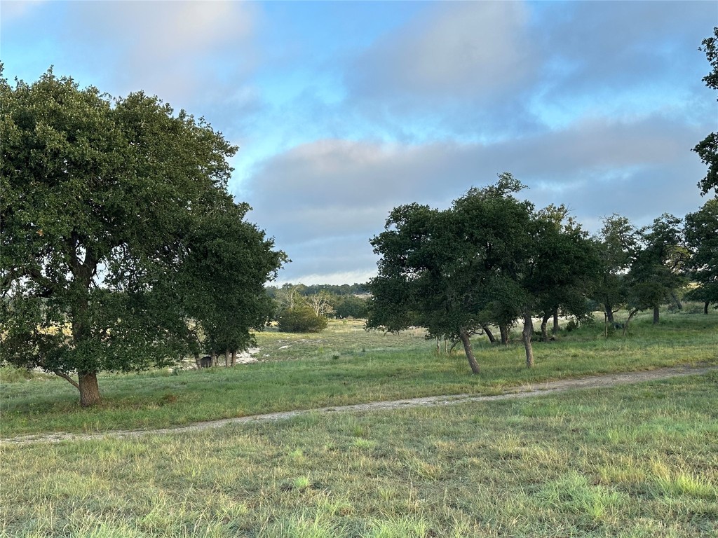 a view of grassy field with benches