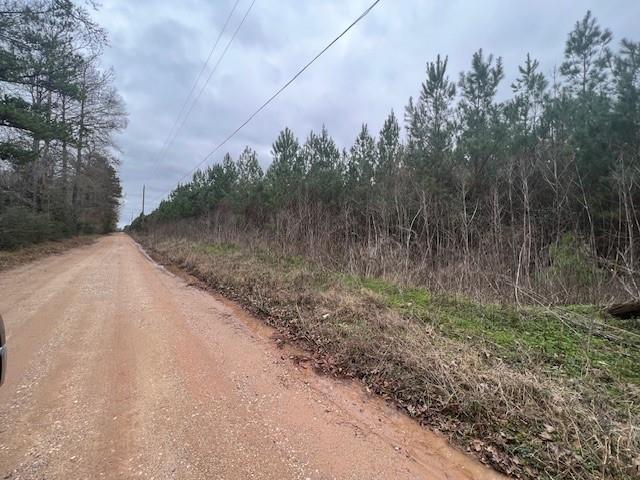 a view of a dry yard with trees