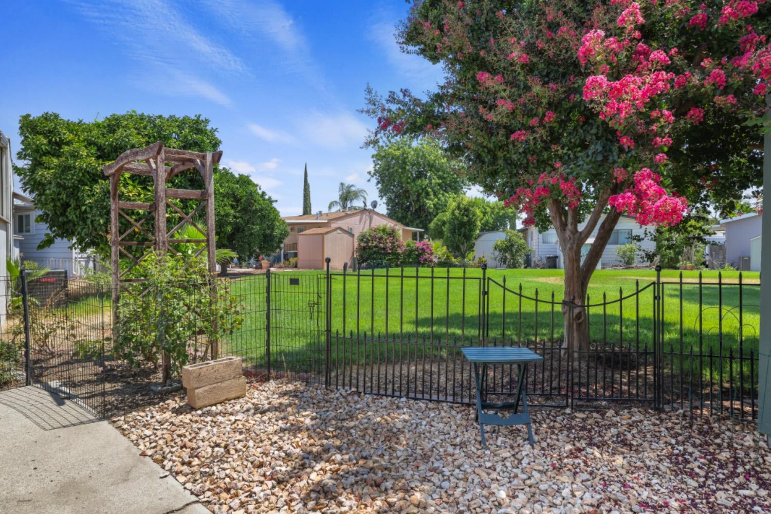 a view of a chair and table in the backyard