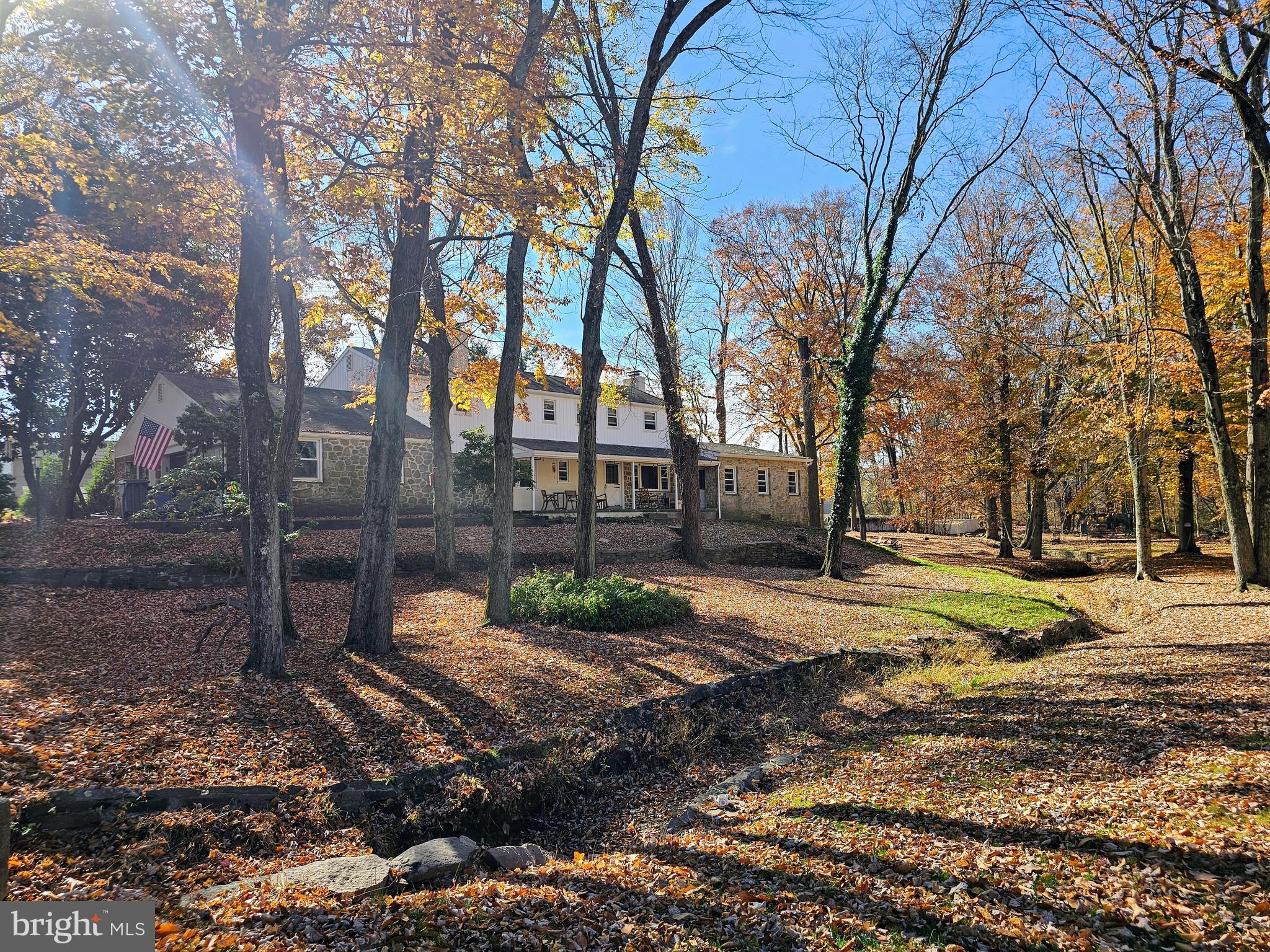 a view of park with tree