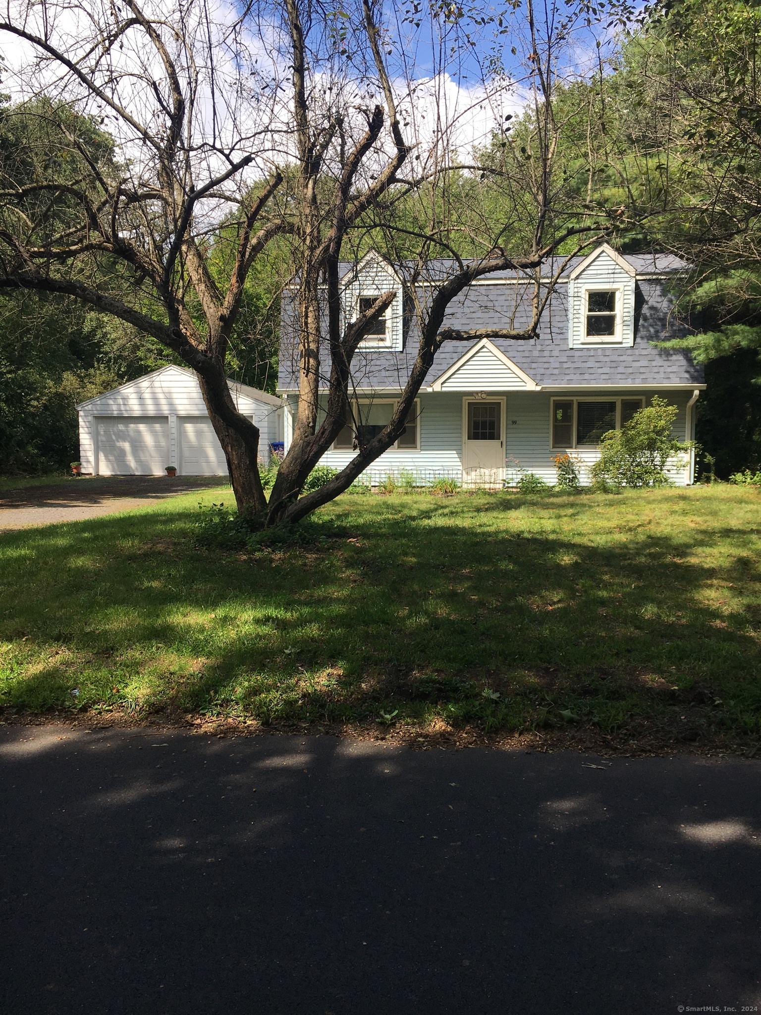 a front view of house with yard and green space