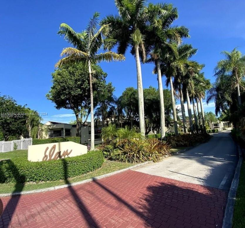 a view of a backyard with palm trees