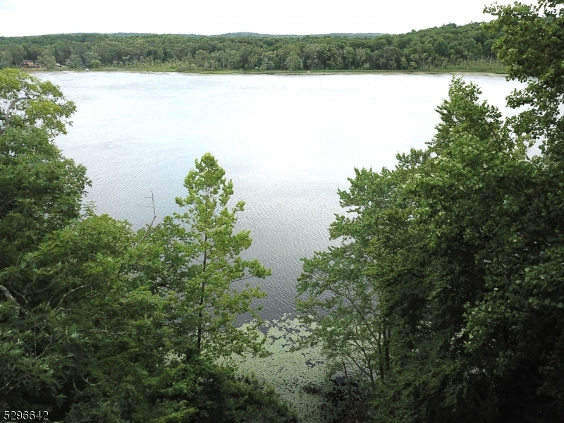 a view of a lake from a yard