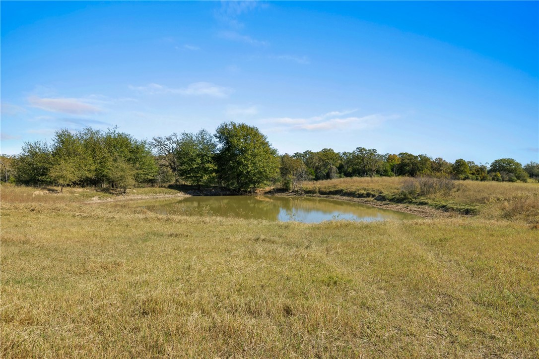 View of local wilderness featuring a water view