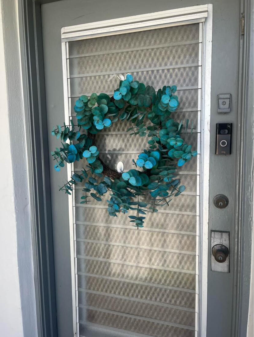 a plant with a glass top door