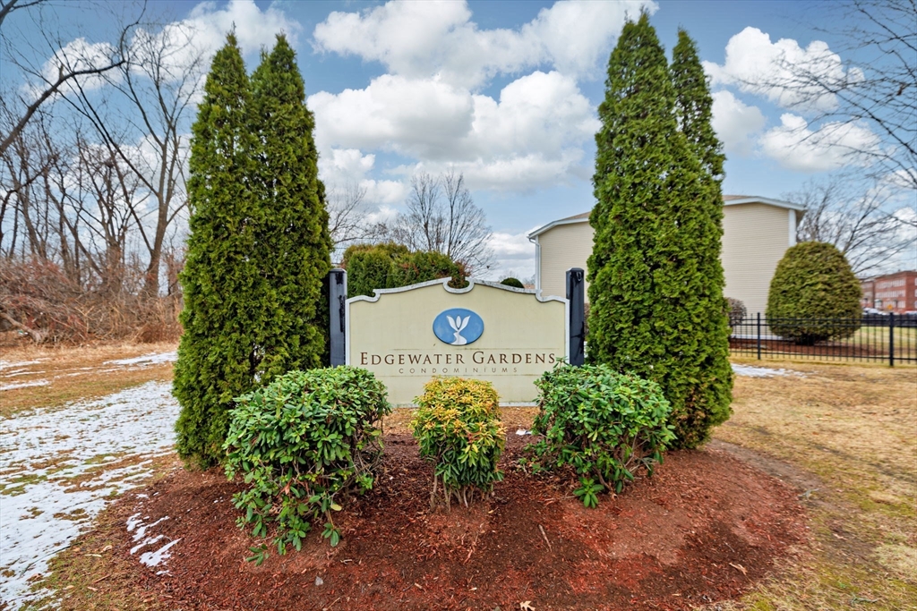 a view of a tree in front of a yard