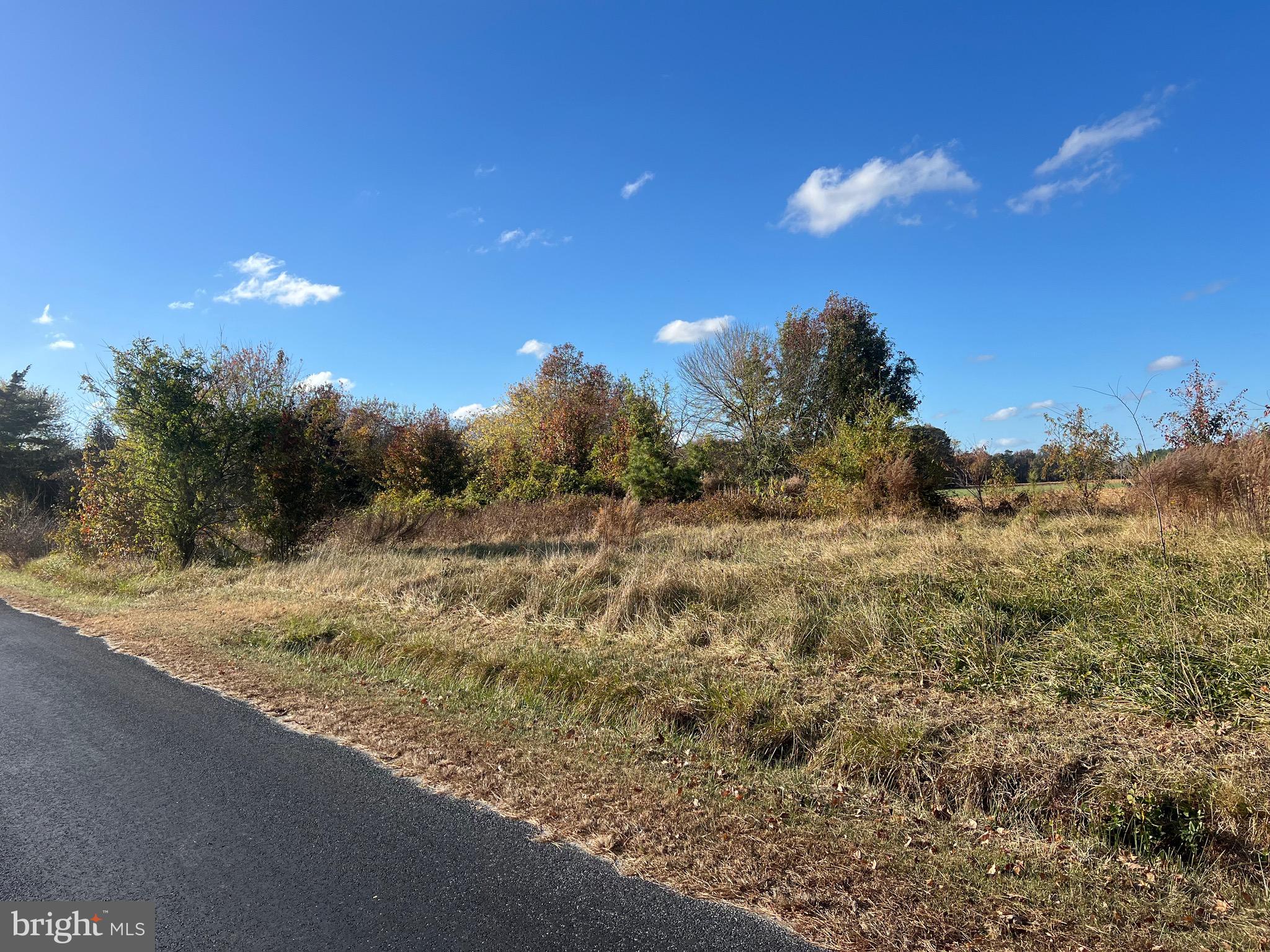 a view of a field