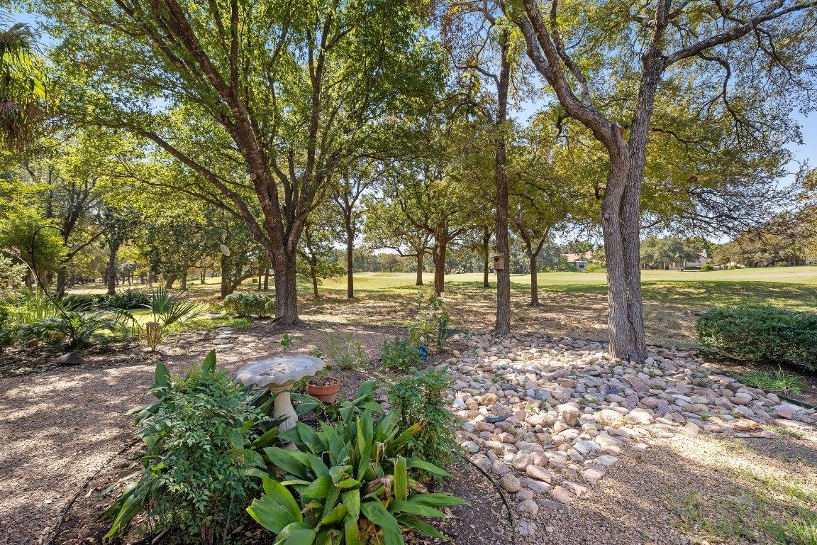 a view of outdoor space with trees