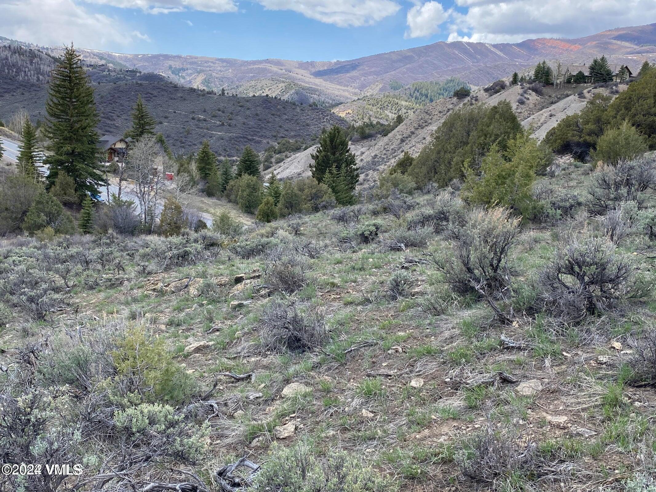 a view of a dry field with mountains in the background