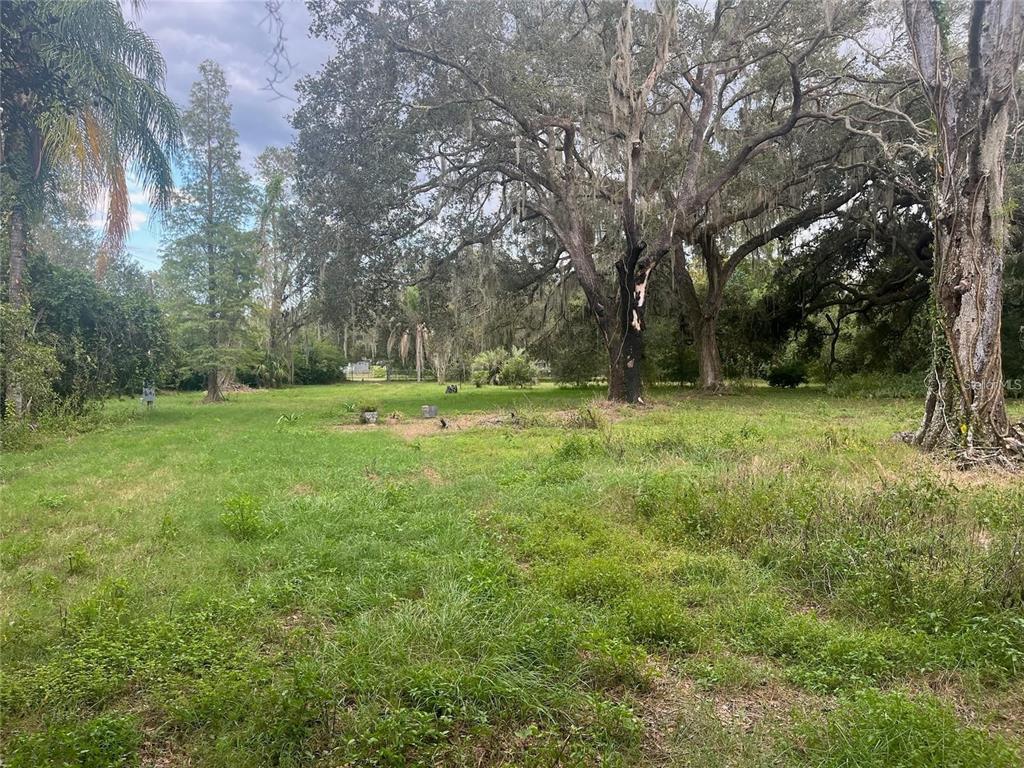 a big yard with lots of green space and deers