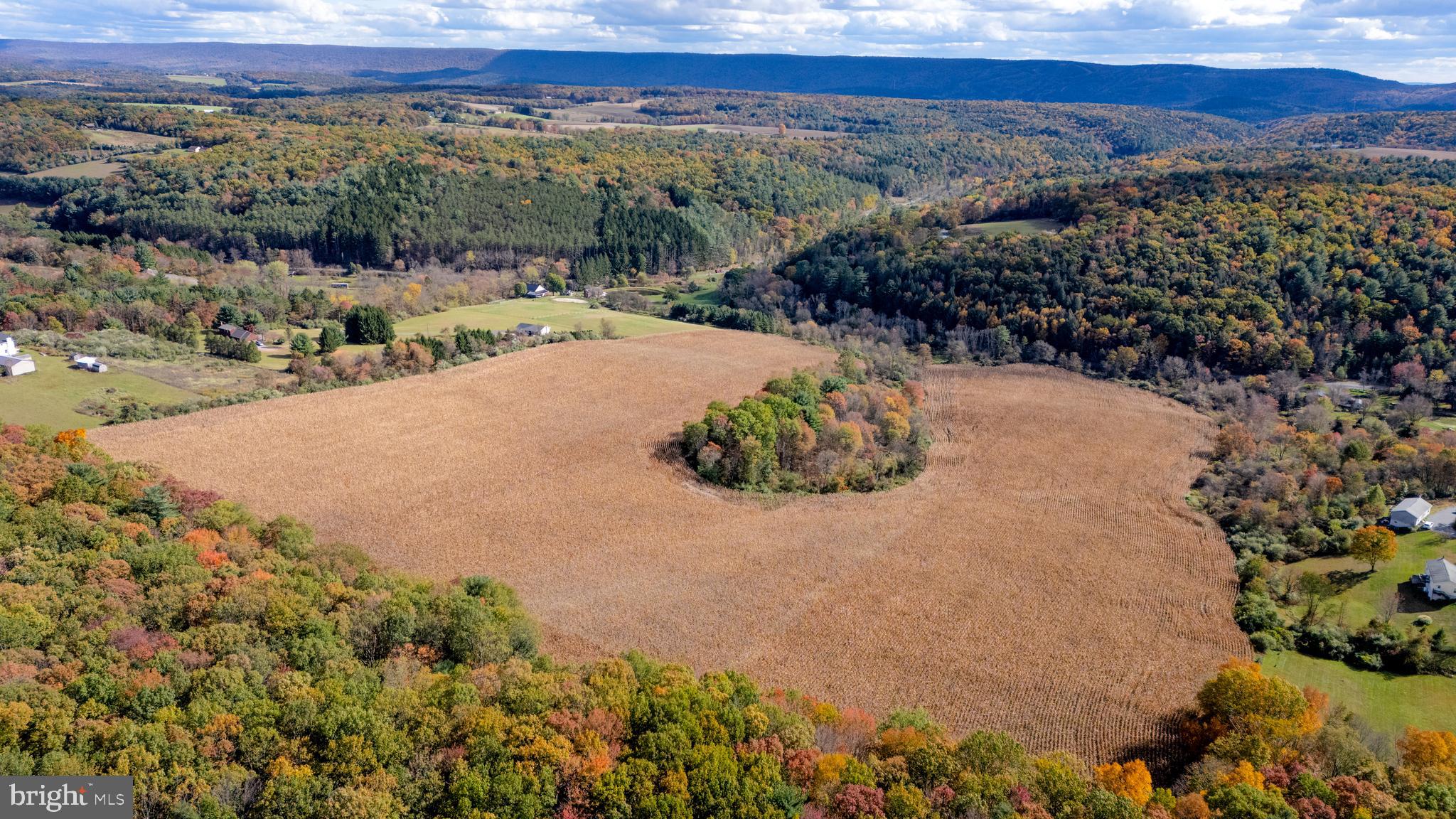 a view of a field with a mountain in the background