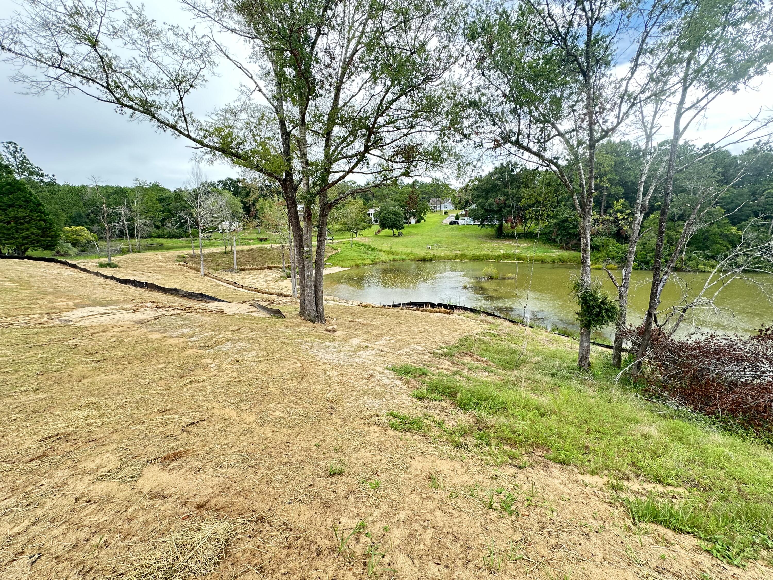 a view of pool with a big yard and large trees