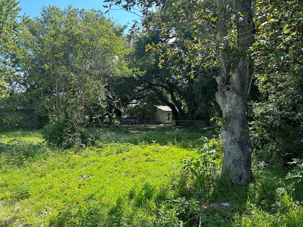 a view of a garden