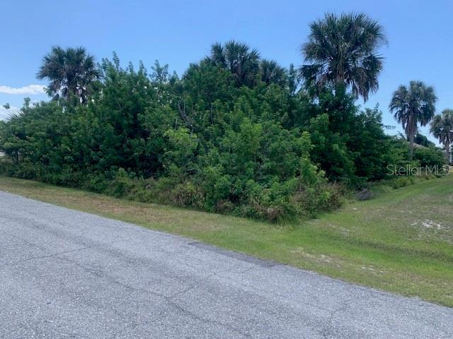 a view of a yard with a palm tree