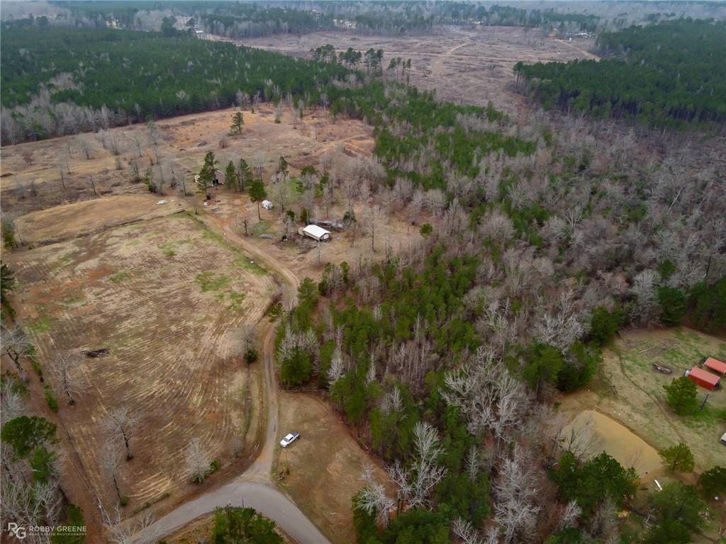 a view of a dry yard