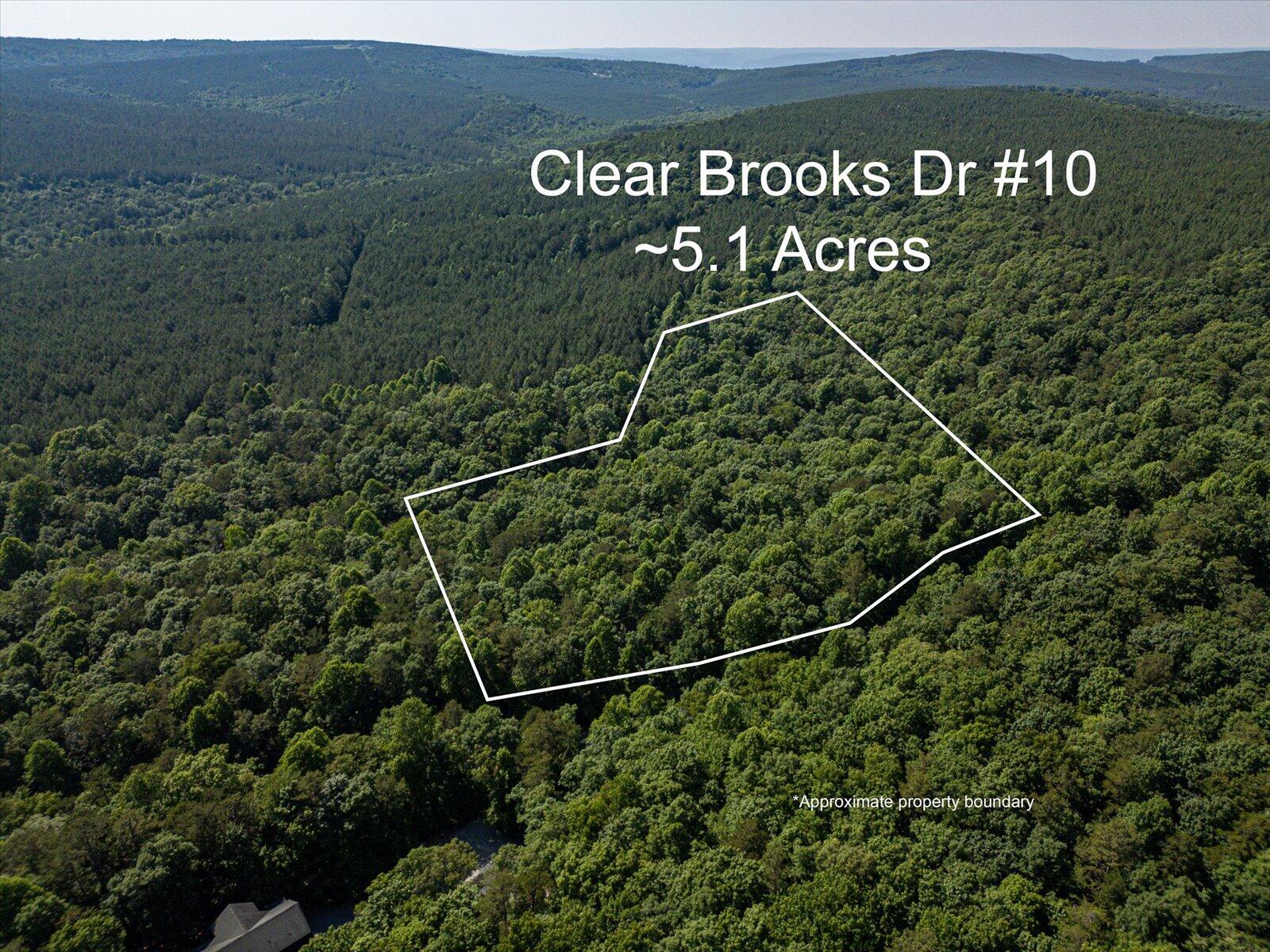 01-Clear Brooks Dr #10-1