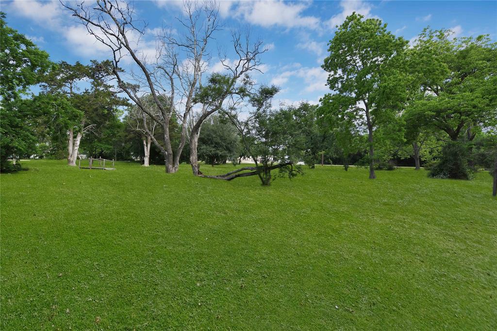 a view of a green field with trees