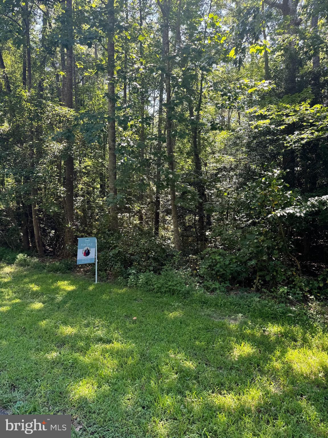 a view of a back yard