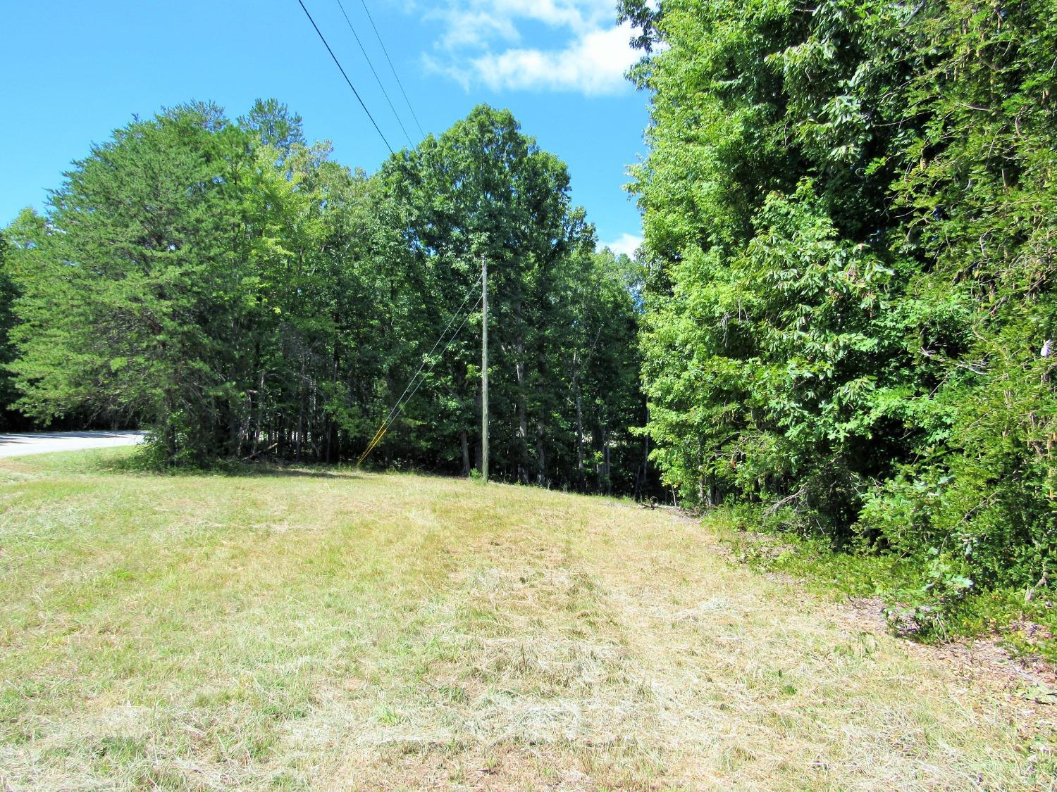 a view of a yard with a tree