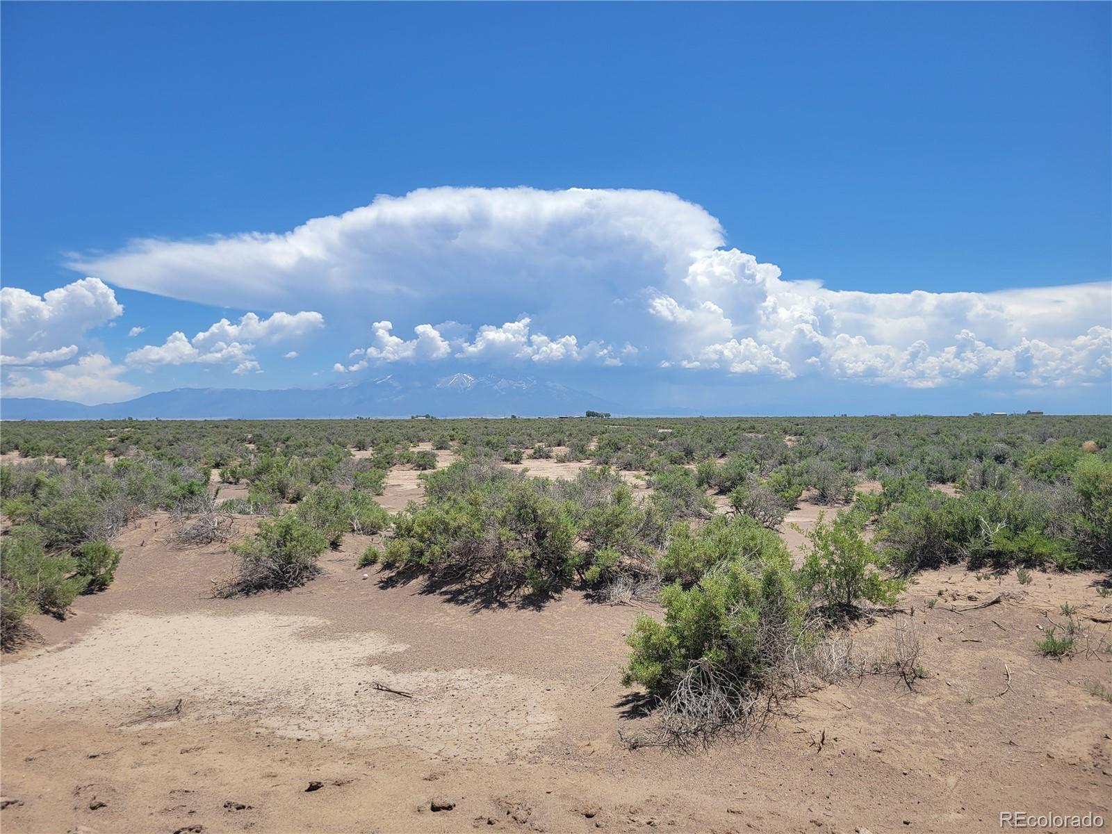 a view of a dry yard with mountains in the background